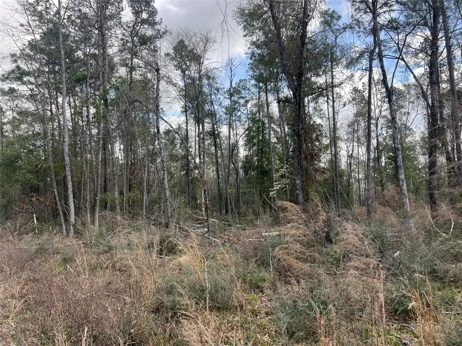 TBD Three Bridges Road, Livingston, TX 77351 - #3