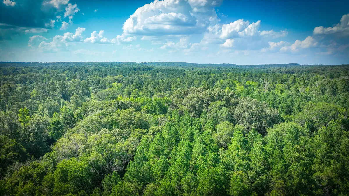 00 Linn Flat Road, Garrison, TX 75946 - #1