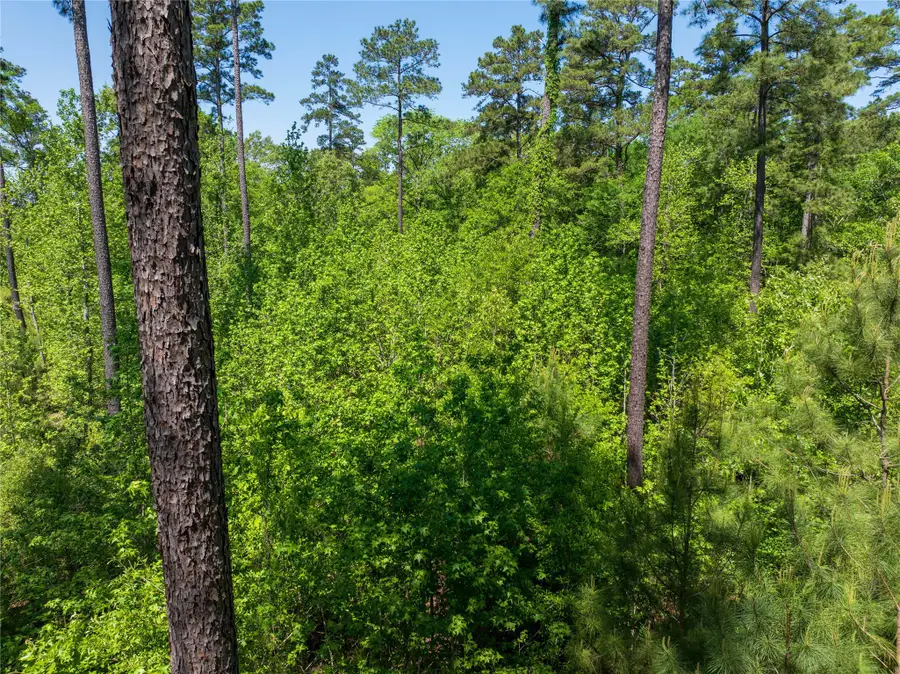 00 Linn Flat Road, Garrison, TX 75946 - #3