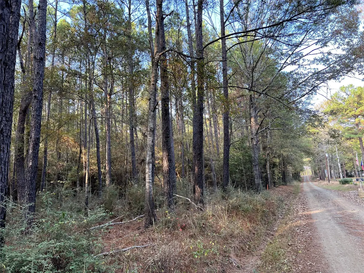 TBD County Rd 2940, Shelbyville, TX 75973 - Image #1