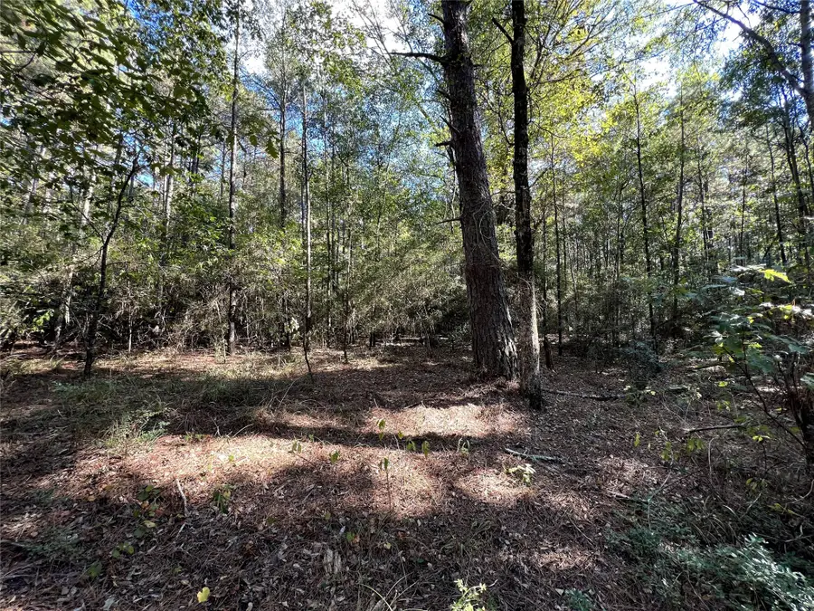 TBD County Rd 2940, Shelbyville, TX 75973 - Image #2