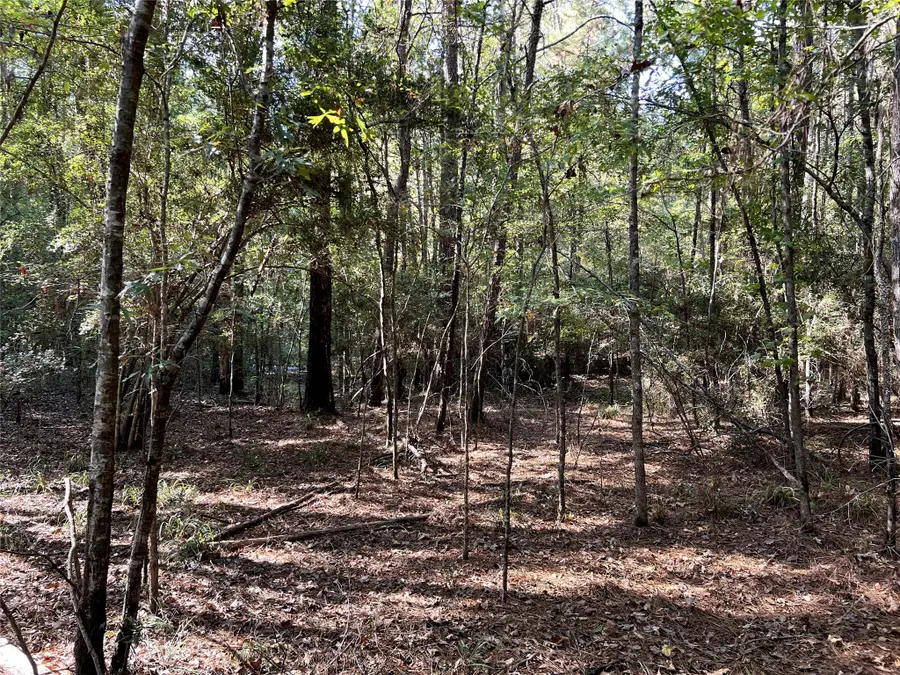 TBD County Rd 2940, Shelbyville, TX 75973 - Image #3