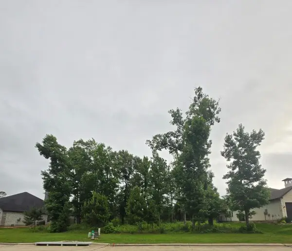 1713 Mission Oaks Court, Conroe, TX 77304