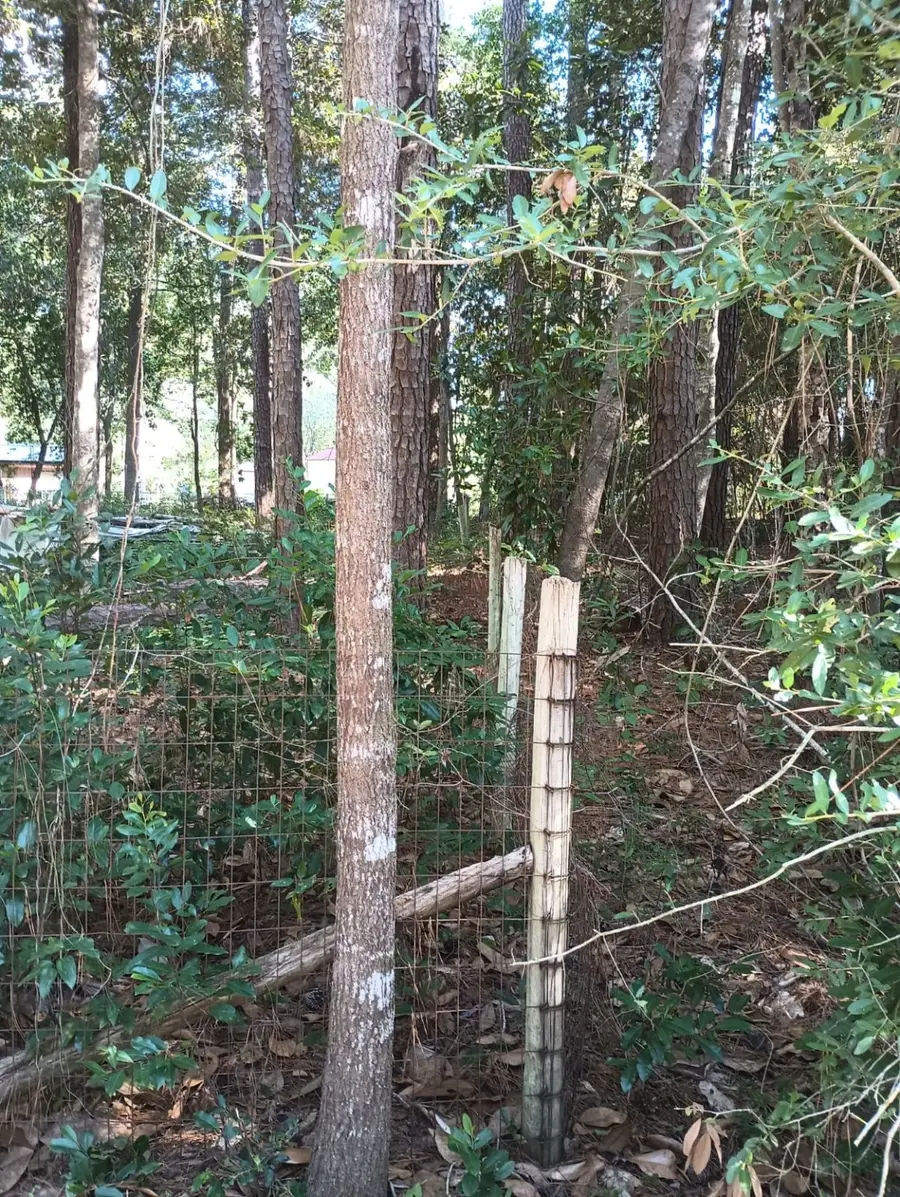 0 Wickford And Little John, Ivanhoe, TX 75447 - Image #2