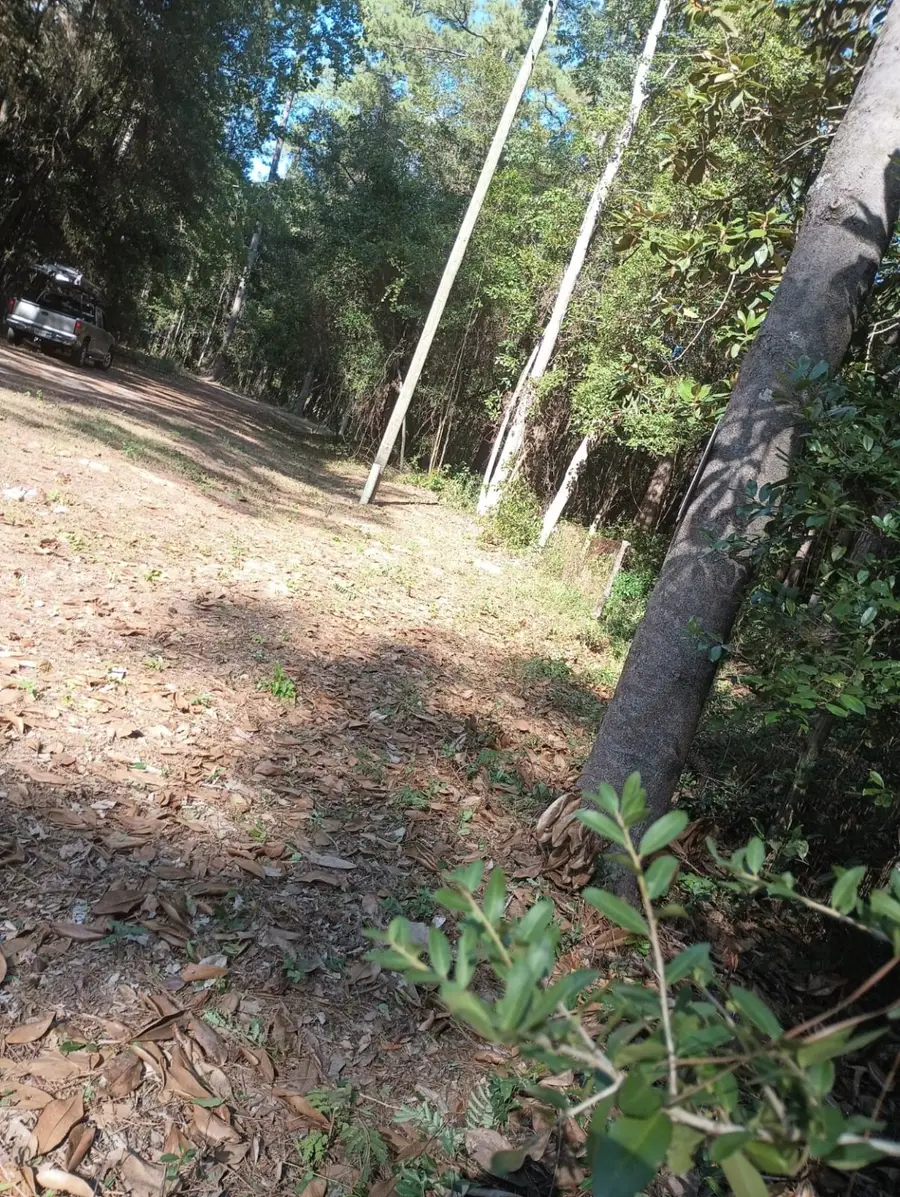 0 Wickford And Little John, Ivanhoe, TX 75447 - Image #3