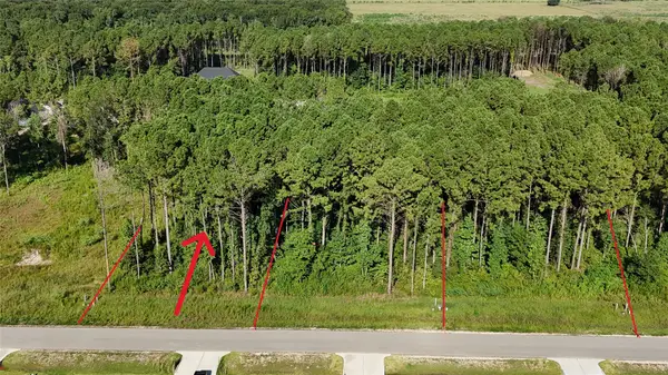 3167 Road 66125, Dayton, TX 77535