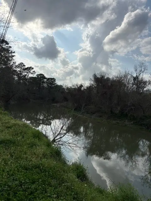 191 Fisherman's Trail, Huntsville, TX 77320 - #1