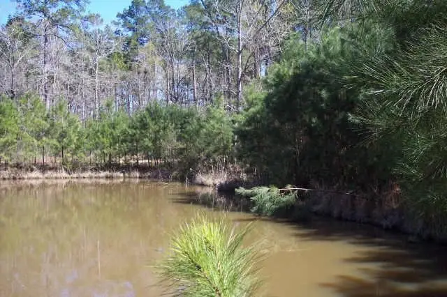 4214 Highland Lakes, Montgomery, TX 77316 - #3