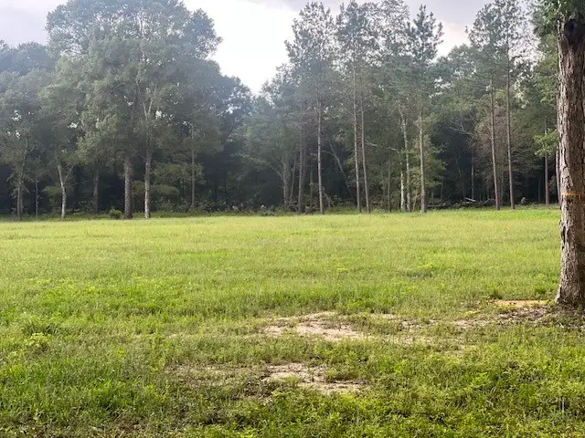 0 E Capps Rd, Livingston, TX 77351 - #1