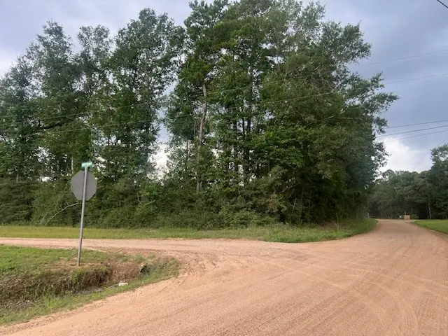0 E Capps Rd, Livingston, TX 77351 - #3