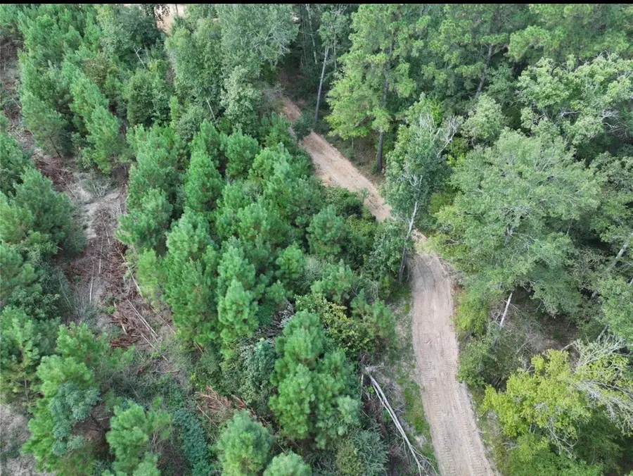 002 Bracewell Cemetery Road, Livingston, TX 77351 - #2