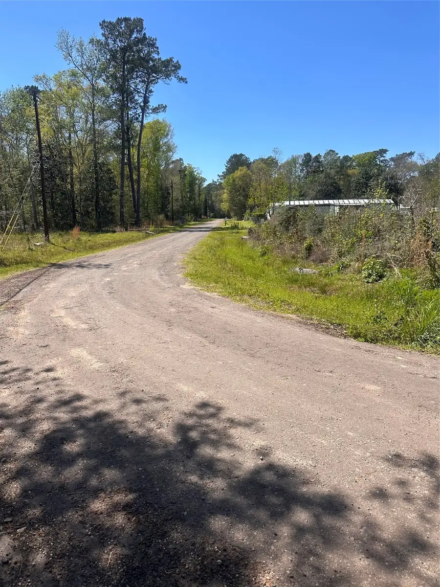 0 Dottie Lane, Shepherd, TX 77371 - #3