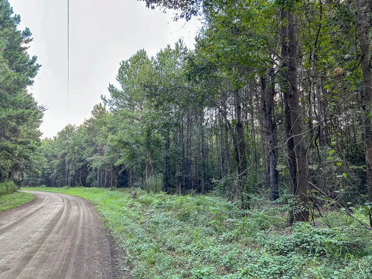 TBD Cr 4700, Fred, TX 77616 - #1