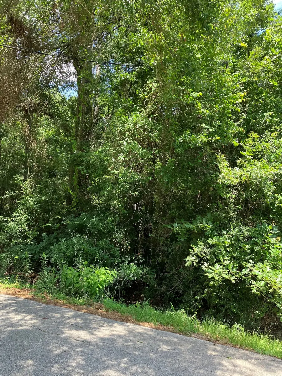 0000 Brentwood Road, Splendora, TX 77372 - #2