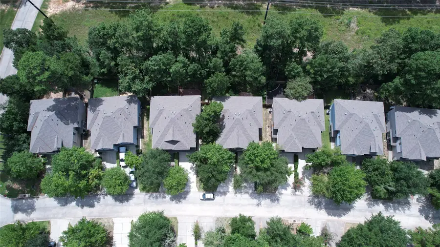 226 W Stedhill Loop, Conroe, TX 77384 - Image #3