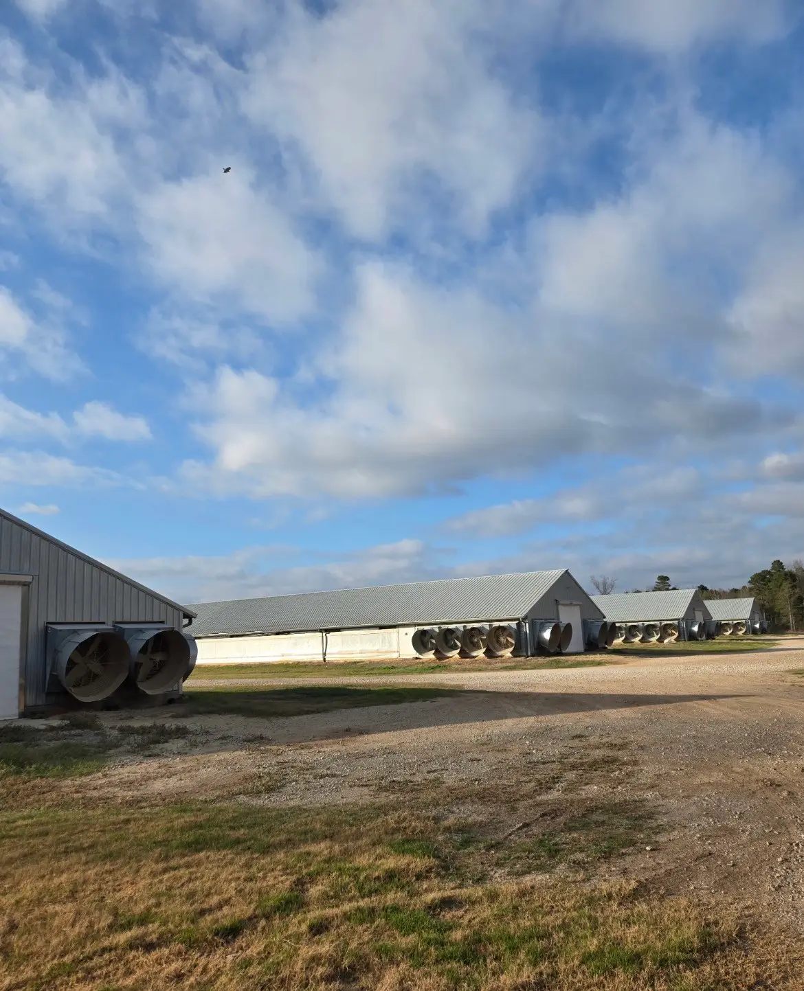 16701 Cr 367, Winona, TX 75792 - #1