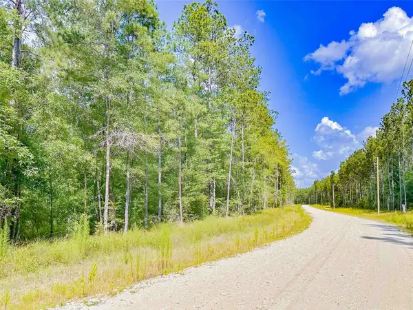 9010 Carter Ranch Road, Kountze, TX 77625