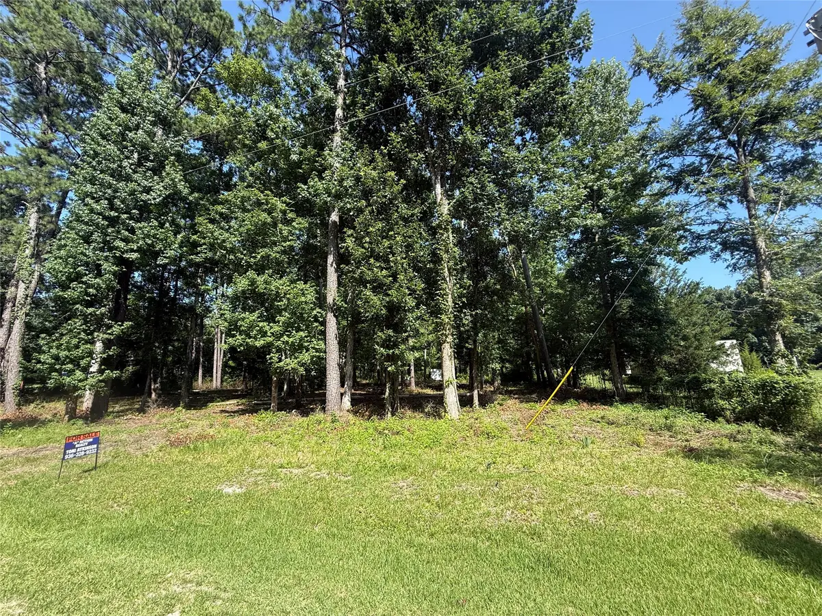 626 Friday, Livingston, TX 77351 - #1
