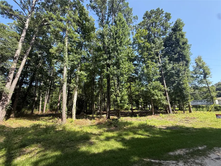 626 Friday, Livingston, TX 77351 - #2