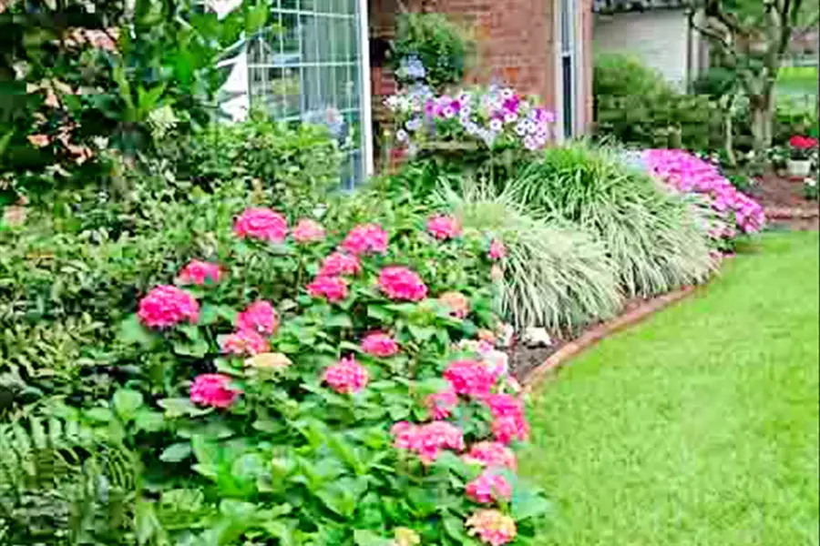 1702 Bowline Road, Houston, TX 77062 - #3