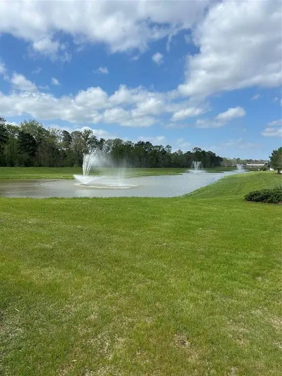 21130 Alder Oaks Dr, New Caney, TX 77357 - #2