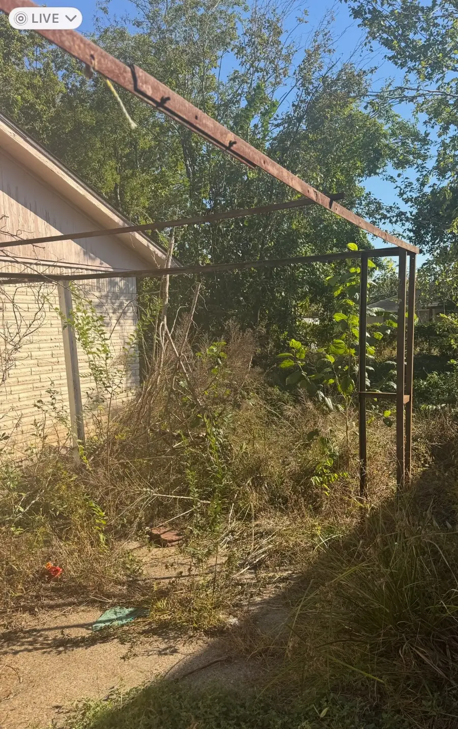 7707 Lumber Jack Drive, Houston, TX 77040 - Image #3