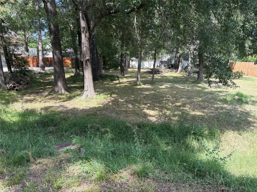 000 Ravemsworth Drive, Conroe, TX 77302 - #3