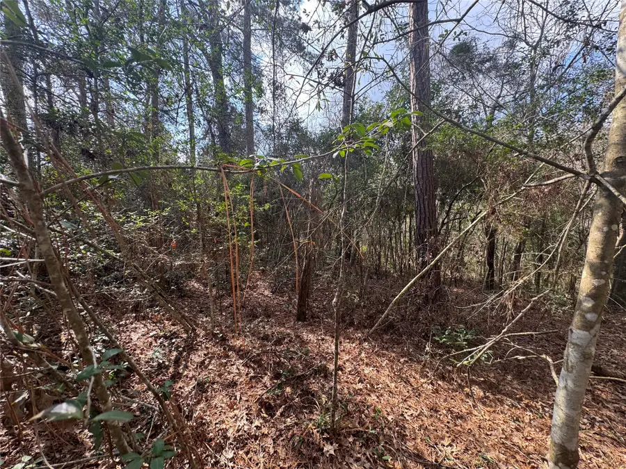 Lot 219 Mallard Drive, Coldspring, TX 77331 - #3