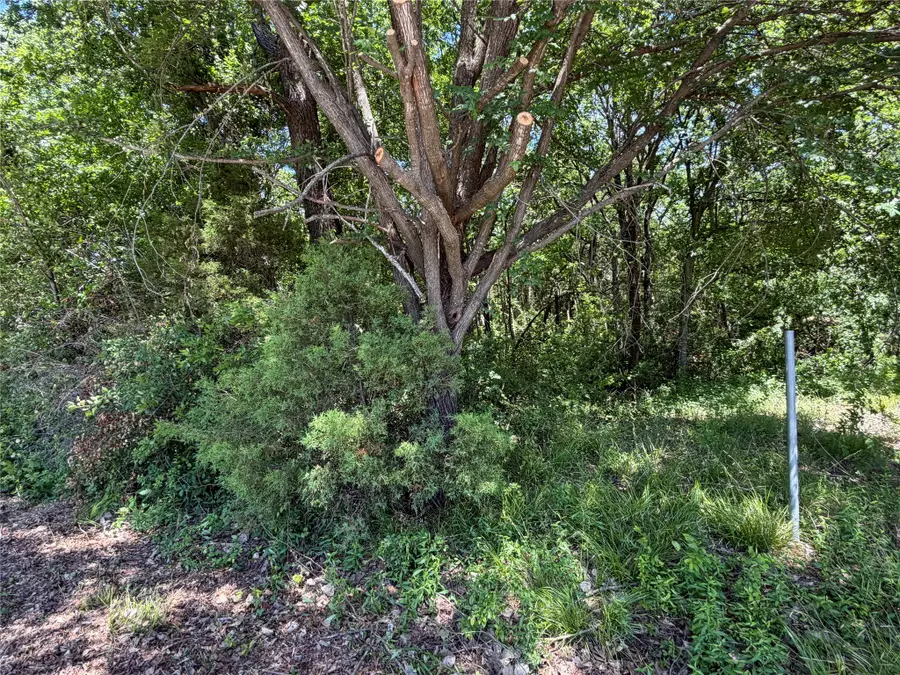 1341 & 1343 Waikiki Trail, Kemp, TX 75143 - #3