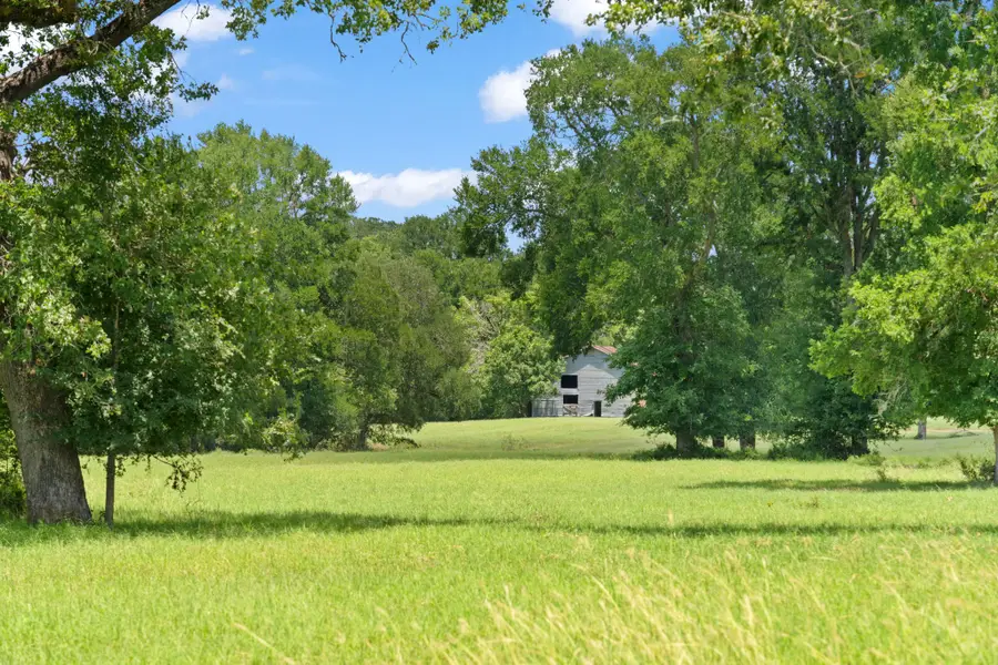 1010 St Delight Road, Paige, TX 78659 - Image #2