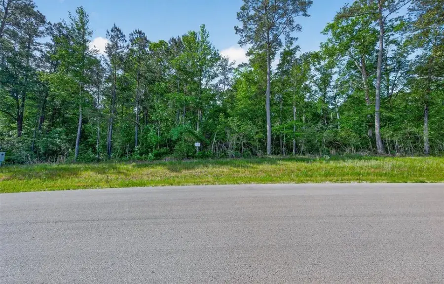 181 Sandpiper Drive, New Waverly, TX 77358 - #3