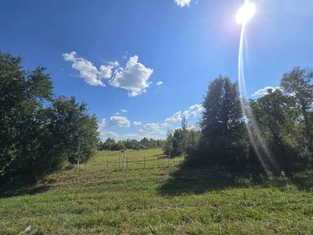 15278 Us Hwy 90 Tract 3, Devers, TX 77538 - Image #1