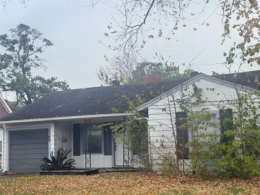 7309 S Rice Avenue, Bellaire, TX 77401 - Image #2