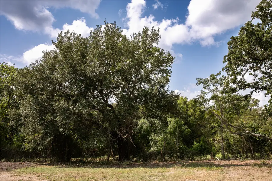 2 ACRES - 400 S Railroad Street, Burton, TX 77835 - Image #3