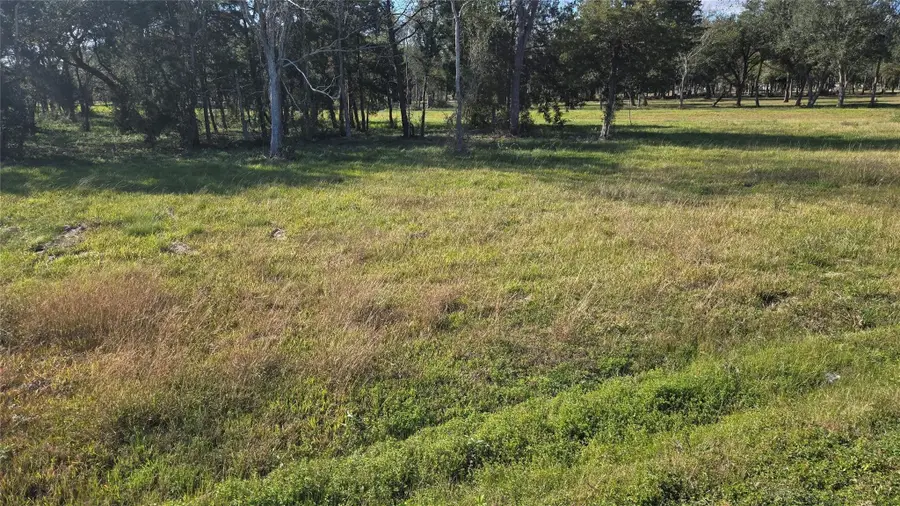 3828 County Road 326 Lot 16, Alvin, TX 77511 - #3