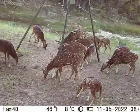 55 Acres Fritz Rd, London, TX 76854