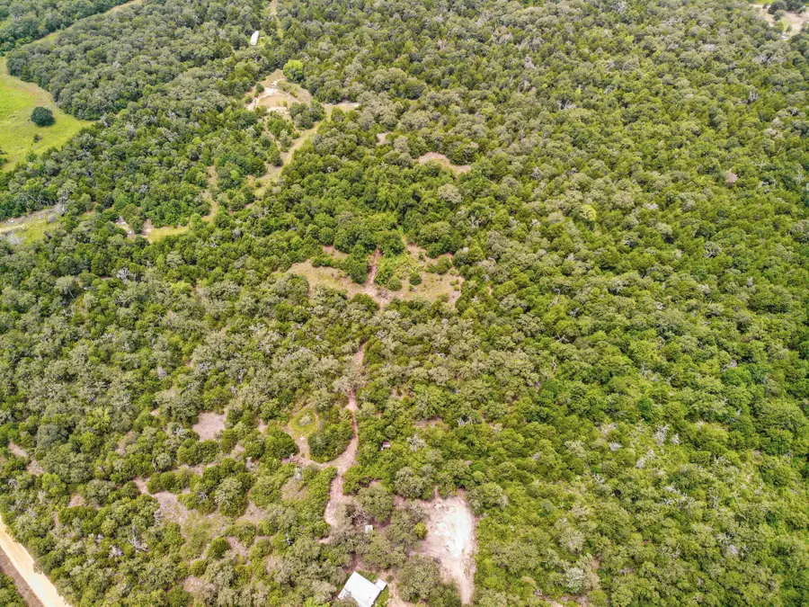 6 Acres County Road 342, Milano, TX 76556 - #3