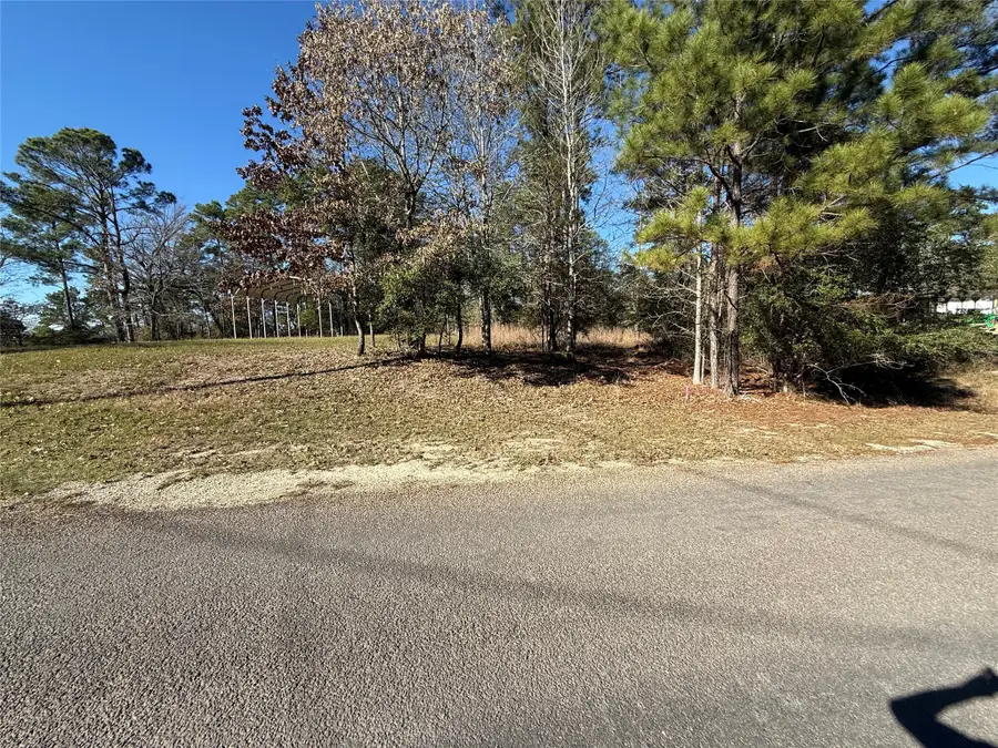 310 Oakwood Lane, Trinity, TX 75862 - Image #3