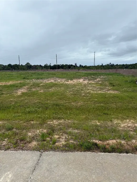 389 Road 5915-24, Cleveland, TX 77327 - #1