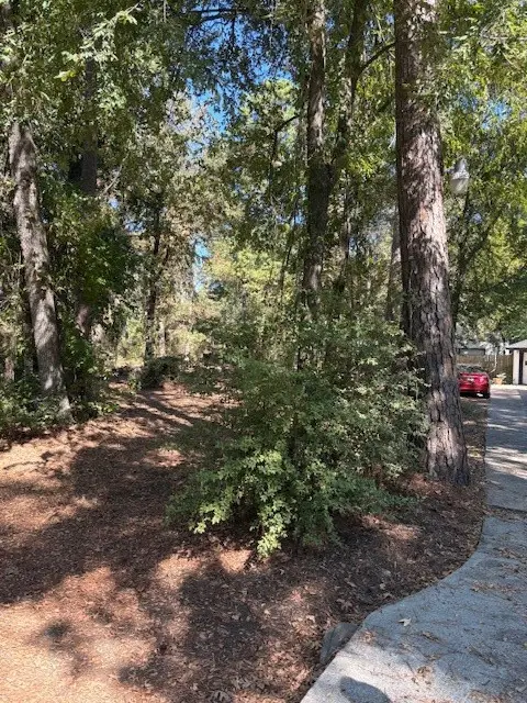 0 Sagewood, Spring, TX 77386 - Image #2