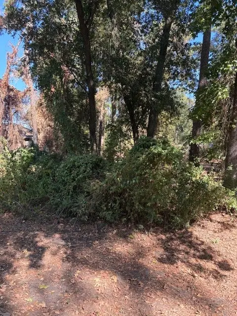 0 Sagewood, Spring, TX 77386 - Image #3