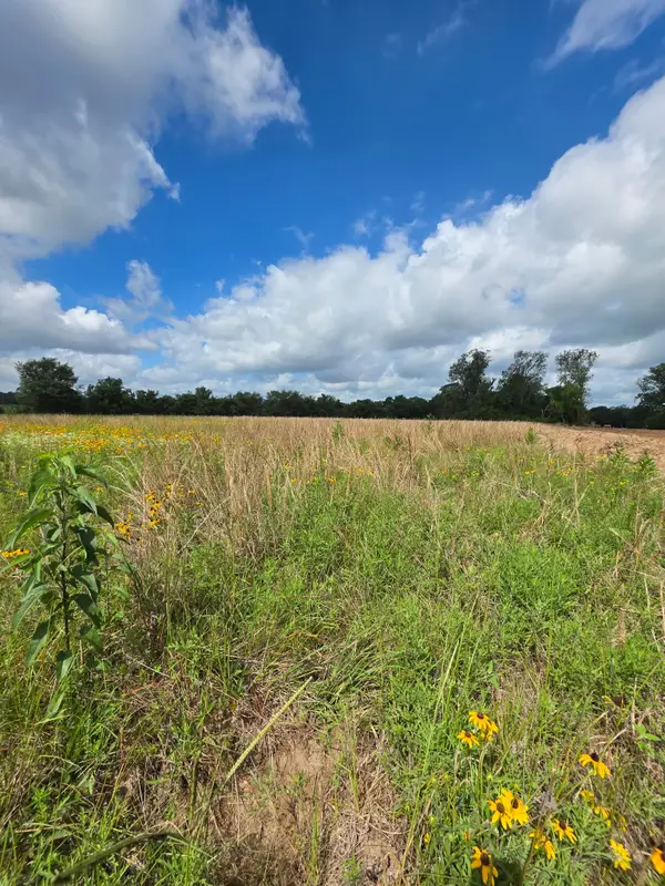 TBD LOT 3 County Road 201, Plantersville, TX 77363