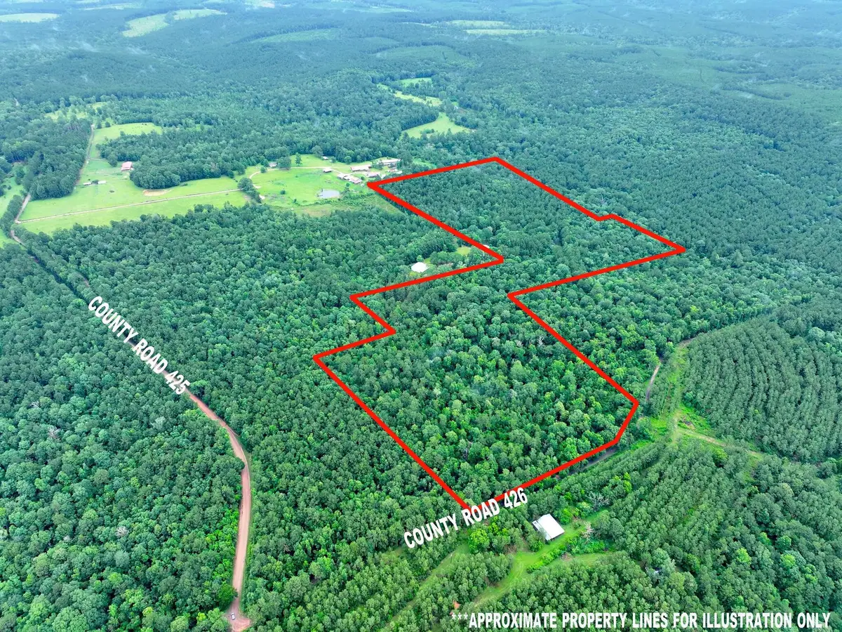 5129 County Road 425, Jasper, TX 75951 - #1