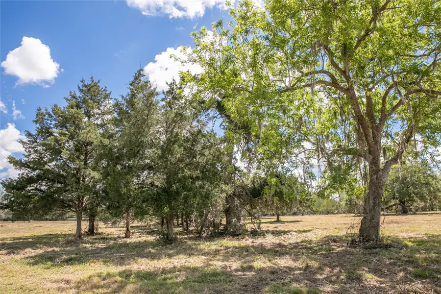 10 Acres Cr 320, Brazoria West Columbia, TX 77833 - #3