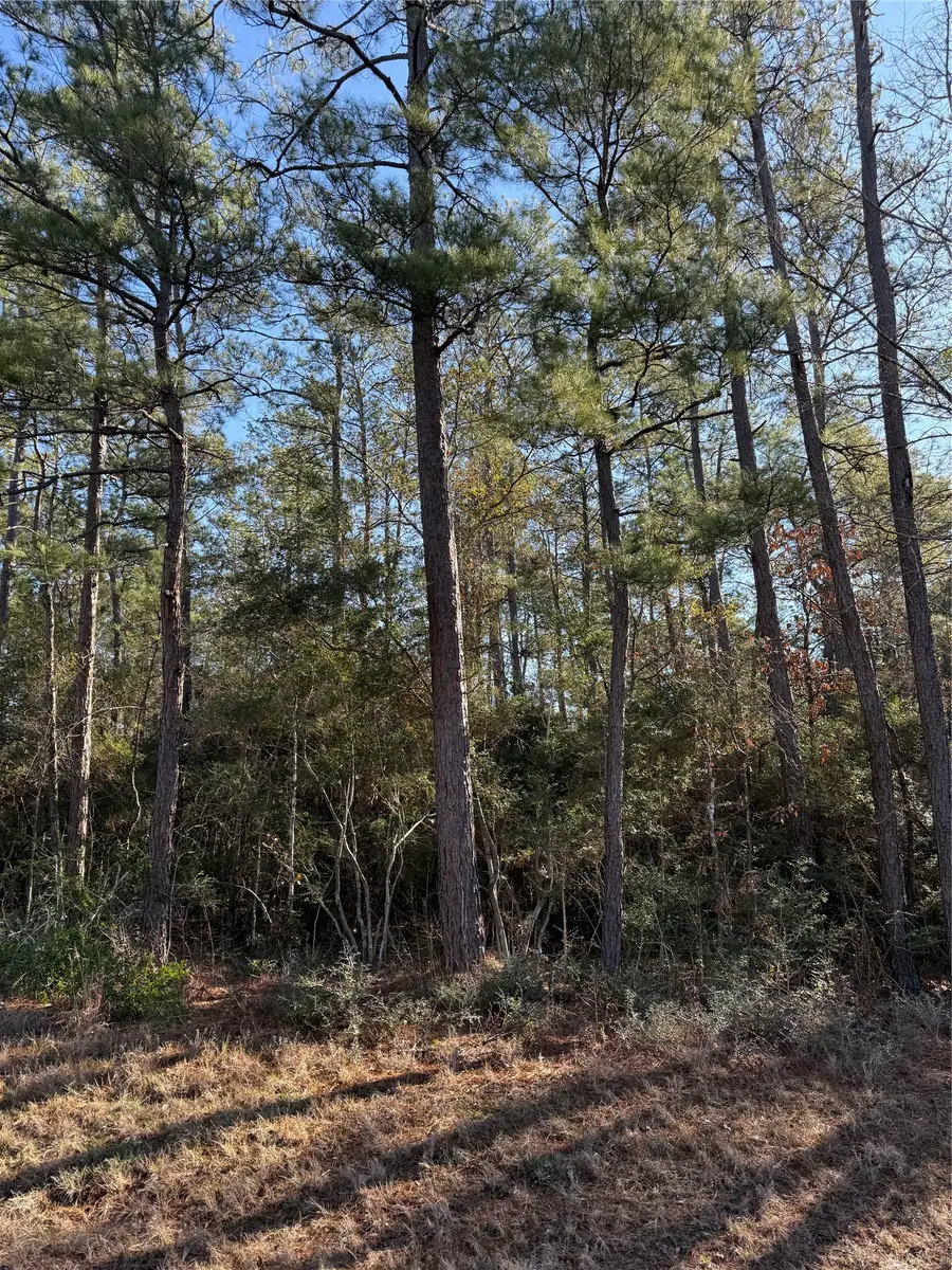 TBD E Fm 942, Corrigan, TX 75939 - #2