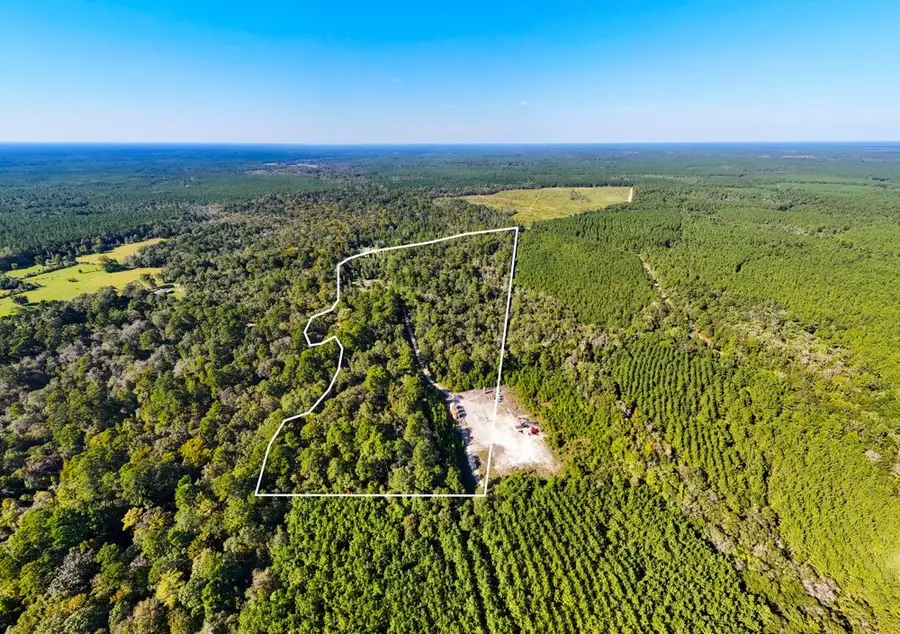 3443 County Road 4875, Warren, TX 77664 - #3