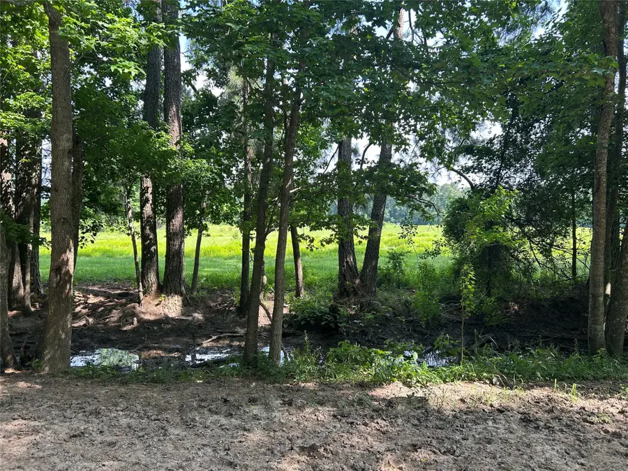 Lot 2 Minnie West Rd, Hull, TX 77564 - #2