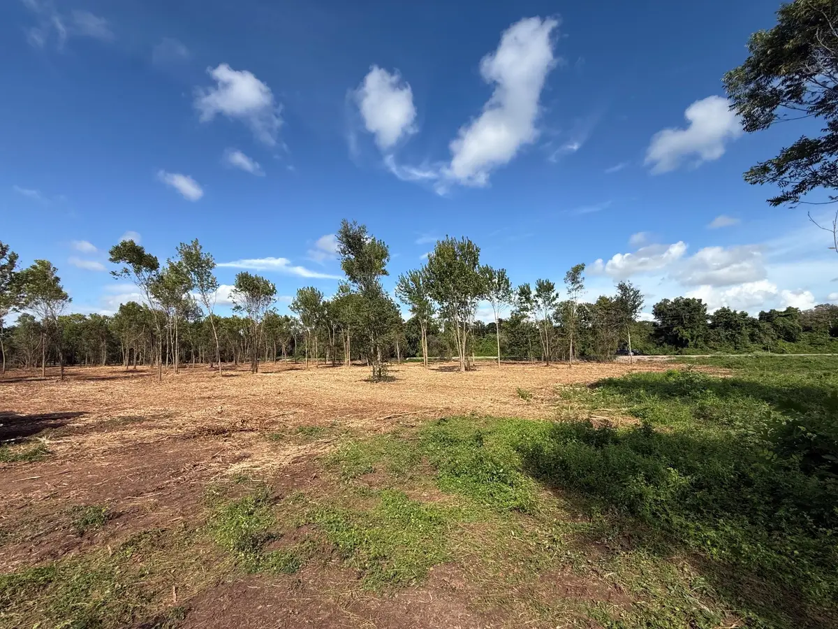 3114 County Road 30, Angleton, TX 77515 - #1