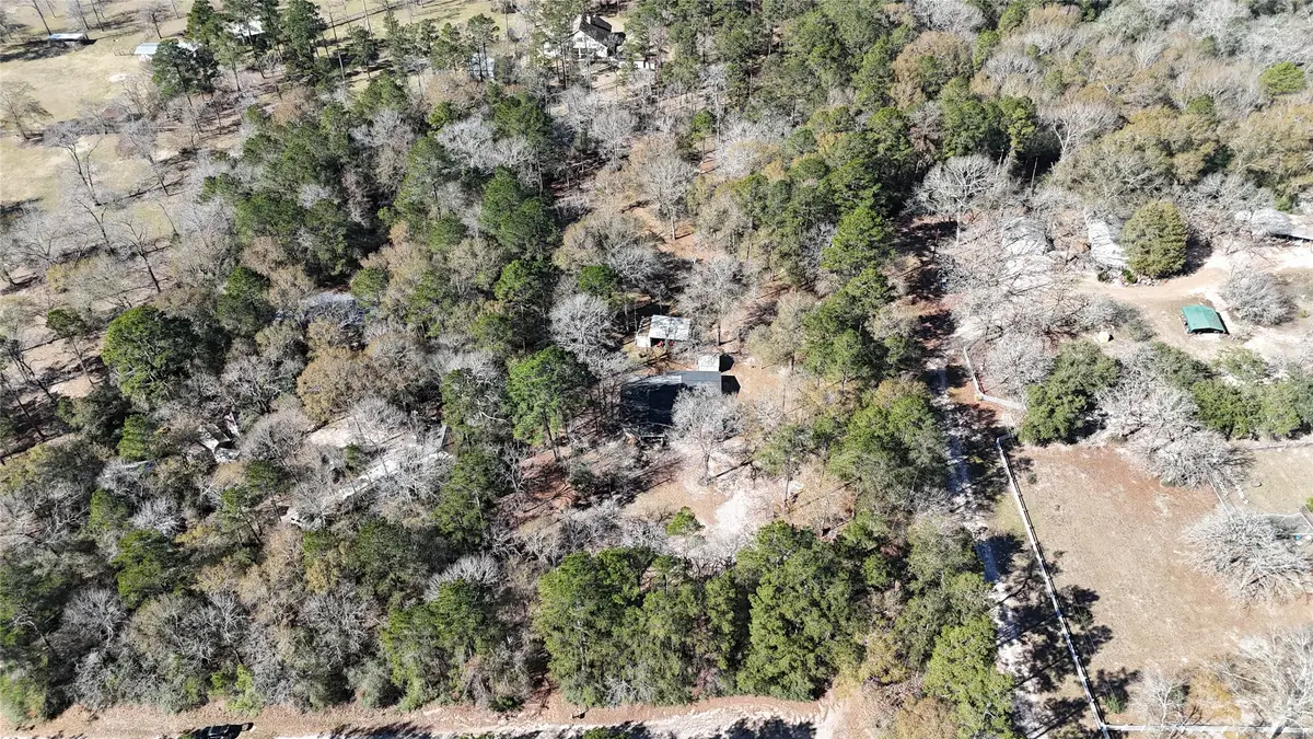 16044 Yaupon Berry, Plantersville, TX 77363 - #1