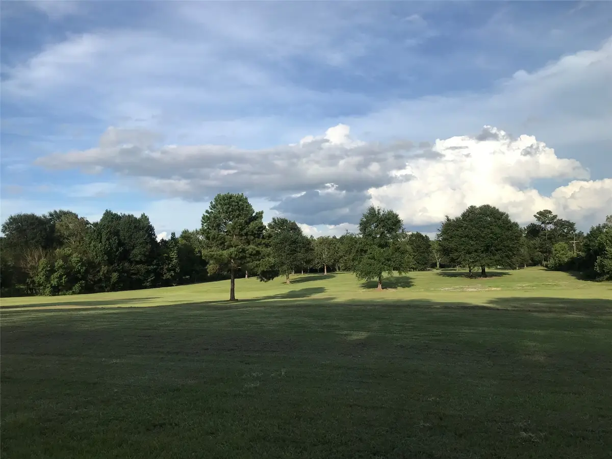 000 Seven Sisters Road Road, New Caney, TX 77357 - #1